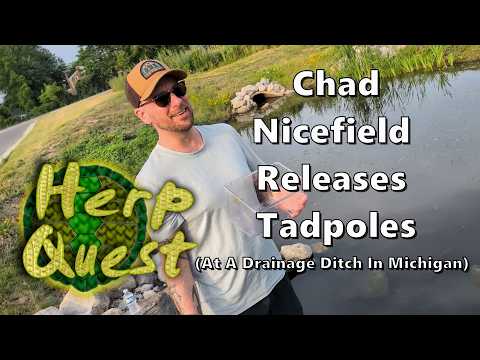 Chad Nicefield Releases Tadpoles - Herp Quest #21.5