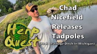 Chad Nicefield Releases Tadpoles - Herp Quest #21.5