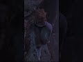 BABY STEPS: Plan Fallido #shorts #babysteps #gaming