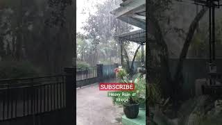 It's Very Peace... #rain #walkingrain #heavyrainwalk #rainwalk