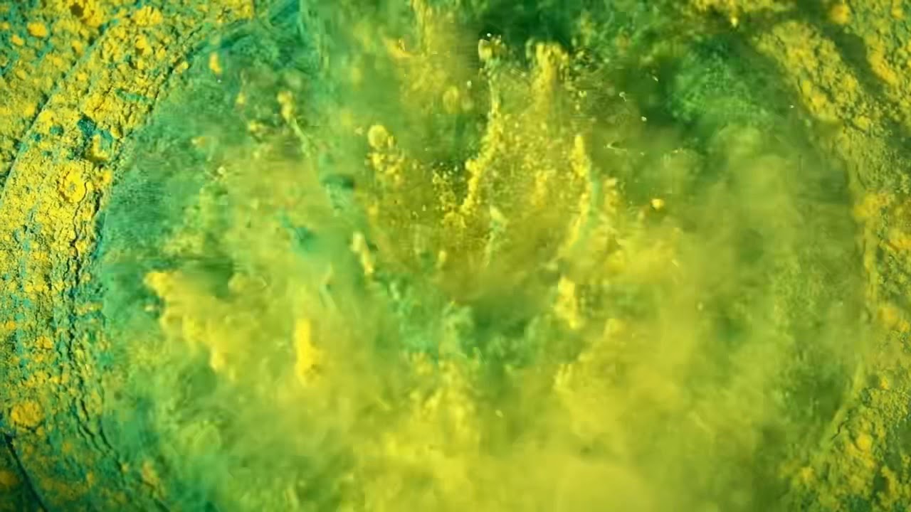 Your Academy - Why Don’t We? (Official Music Video)