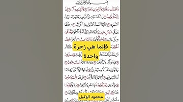 زجرة واحدة#قران #قرآن #سورة_الصافات #تلاوات_خاشعة #اكسبلور #المنشاوي #الوكيل #خشوع #راحة_نفسية #fypシ