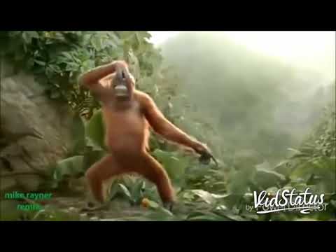 Monkey dance