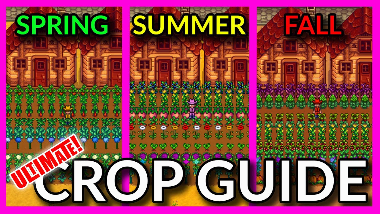ULTIMATE CROP GUIDE Best CROPS for Each SEASON? Stardew Valley