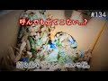 【病気なの..?】エルモ君が動画に出ていない件について。
