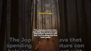 Why Japan Loves 2hr 'Forest Baths' - It's Shocking