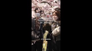 なぜ日本では花粉症がこんなにひどいのか？