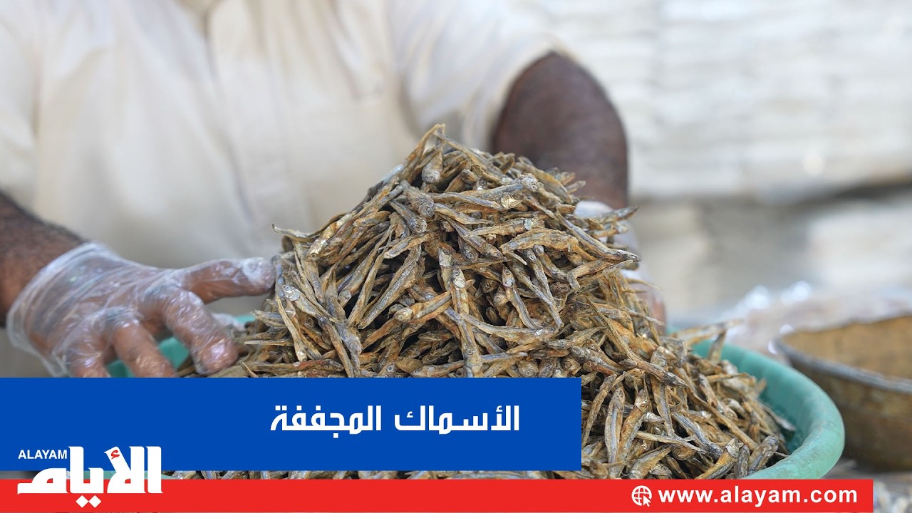 ������� �������.. ����� ������ ��� ������ ������
 - نشر قبل 14 دقيقة