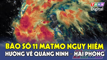 Bão số 11 Matmo xoáy thẳng vào Quảng Ninh – Hải Phòng, gió giật cấp 15 | Hà Nam TV