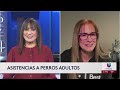 🔴En Vivo | Senado de EE. UU. avanza para poner fin al cierre del gobierno | 6AM | 11.10.25 |