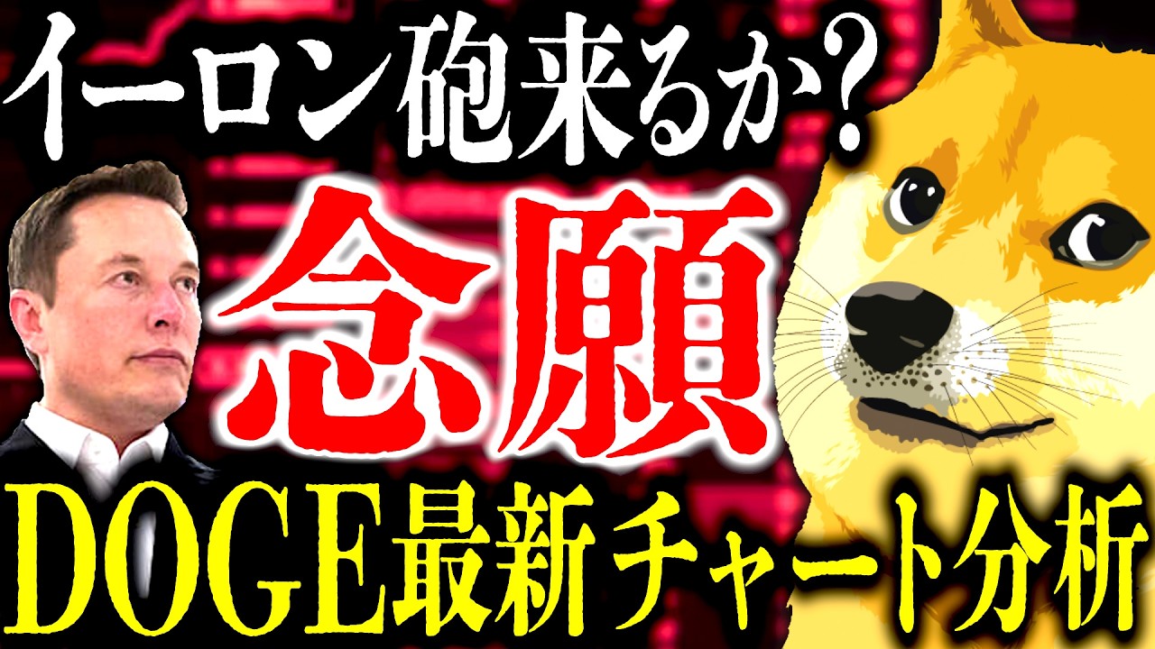 イーロン咆来るか？Xの決済銘柄にDOGEが選ばれる『根拠』と『理由』⸺全ての流れが変わる瞬間きます【ドージ】