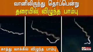 வானிலிருந்து தொப்பென்று தரையில் விழுந்த பாம்பு..!