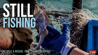 A Fleeing Fisherman Left His Net Behind. It Was Still Killing When We Found It.