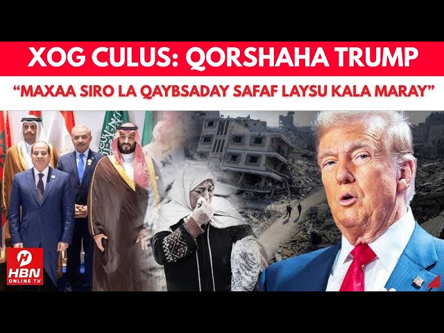 Yetuk ayollar porno tomosha shaggy Xolaning ajoyib dosti porno