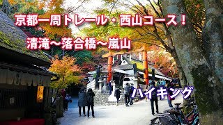 【ウォーキング】京都一周トレール・西山コース！清滝～落合橋～嵐山