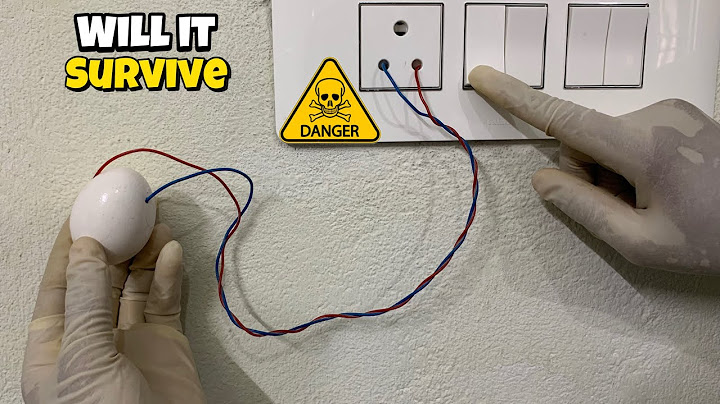 World’s Most Powerful EGG vs Live High Voltage