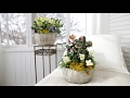 Spring Container Inspiration (Full Version)  // Garden Answer