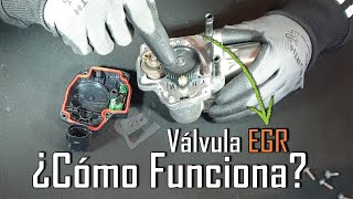 Válvula EGR - ¿Qué es y Cómo Funciona? - PetrolheadGarage