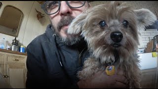✔ DiResta My 5 Pets (400k Thank You)