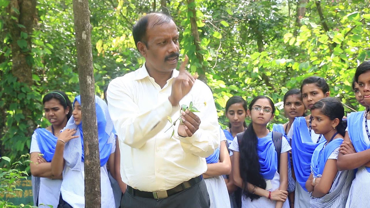 Documentary: SDM Arboretum treasure of Medicine