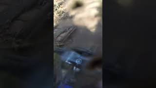 Nephew has a little crash