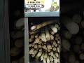 Sugarcane Juice Cart / बिना बिजली के चलने वाली रसवंती घूमती फिरती मशीन ✅
