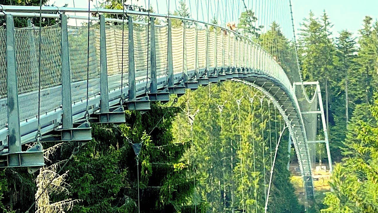 WildLine Suspension Bridge in Bad Wildbad Germany | 4K