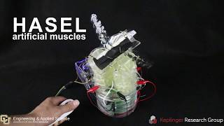 An easy to implement toolkit to create HASEL artificial muscles