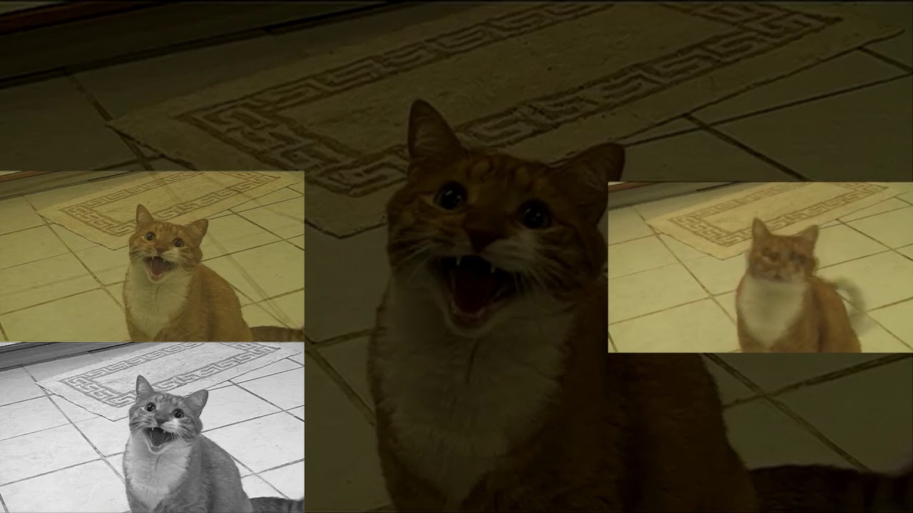 Shortest Video Has A Sparta Xenon Remix