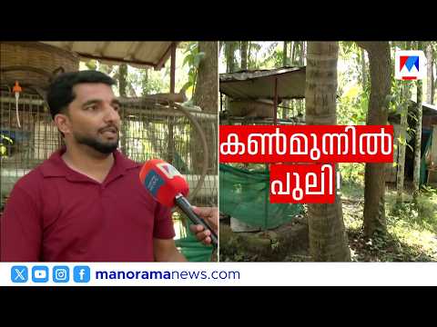 കുട്ടികളെ പുറത്തുവിടാതെ വീട്ടുകാർ; നാദാപുരത്ത് പുലിഭീതി ഒഴിയുന്നില്ല | Leopard spotted in Nadapuram