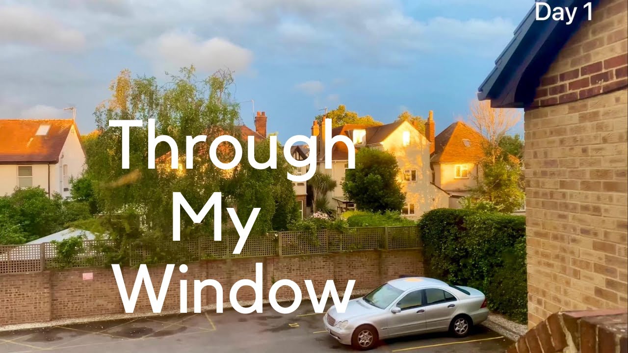 Evening TimeLapse Recorded This Video For 8 Consecutive Day