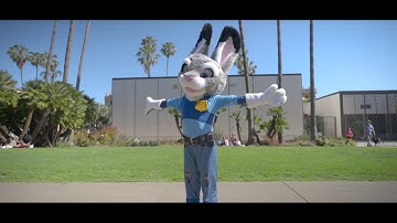 TruffleCon Ultimate - June 7-9, 2019 Furmeet