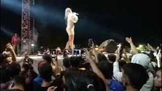 Muantul Gaes//Desy thata//koyo Jogja istimewa//om adella