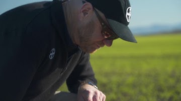 GUINNESS WORLD RECORDS™ title: Highest Wheat Yield | Planning the crop