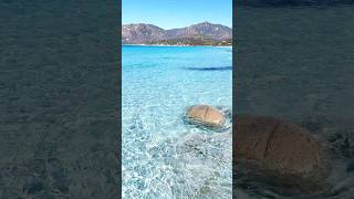 Video Completo Campulongu