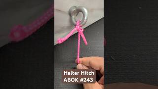Halter Hitch Quick Release -Diy
