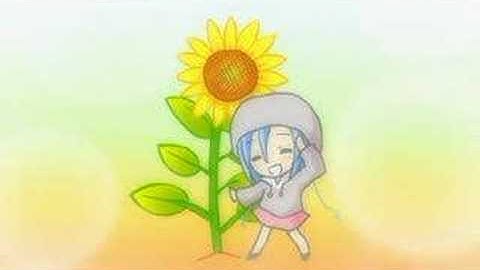 小坂りゆ～ヒマワリ～（riyu kosaka～himawari～)　 Flash movie