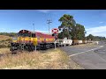 Tasrail 2011 5xw empty ballast train crossing opossum road