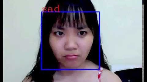 [DeepLearning] Facial Expression Recognition - Girl Friend Emotion Detection & Forecast