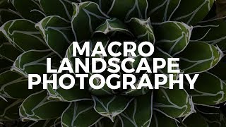 Behind the Scenes Macro Landscape Photography in Phoenix Arizona screenshot 4