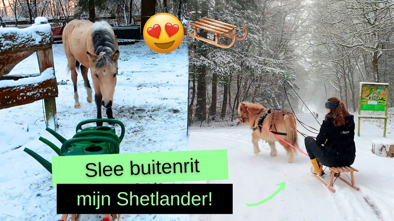 SNEEUWPLEZIER met de PAARDEN! 😍 | VLOG 