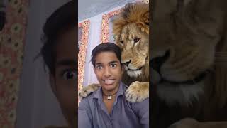 iam trie lion filter