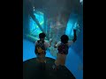 Young Kings enjoyed there first time at the aquarium ❤️😁#autism #autismawareness#blessed #blessings