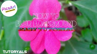 HOW TO BLUR BACKGROUND | DSLR APP | PICSART | EASY TUTORIAL screenshot 4