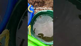 Pete we thought you was a toad! #farming #viral #shorts
