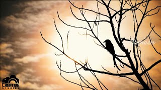 My photography slideshow #2  (4K)