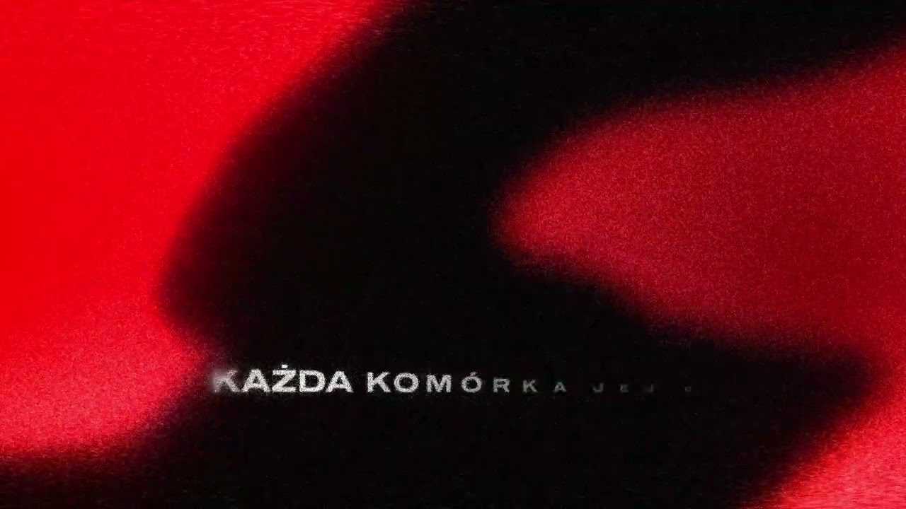 ZUPECZKA | BIG BROTHER: UNDERCOVER