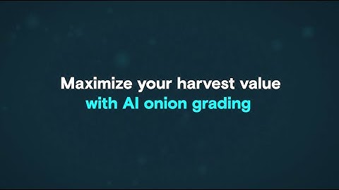 Maximize your harvest value with AI onion grading