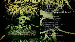 DEAD FILTH — Instructions On Decay