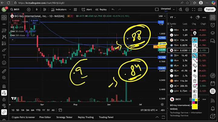 BKYI Stock (BIO Key International stock) BKYI STOCK PREDICTION BKYI STOCK analysis BKYI stock news
